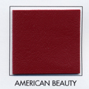 Seaquest American Beauty